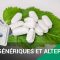 VIAGRA GÉNÉRIQUES ET ALTERNATIFS