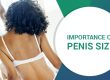IMPORTANCE DE LA TAILLE DU PÉNIS