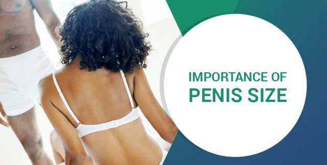 IMPORTANCE DE LA TAILLE DU PÉNIS