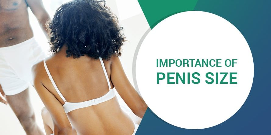 IMPORTANCE DE LA TAILLE DU PÉNIS IMPORTANCE DE LA TAILLE DU PÉNIS
