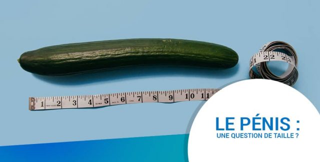 LE PÉNIS : UNE QUESTION DE TAILLE ? LE PÉNIS : UNE QUESTION DE TAILLE ?