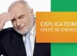 EXPLICATIONS CHUTE DE CHEVEUX