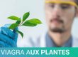 VIAGRA AUX PLANTES