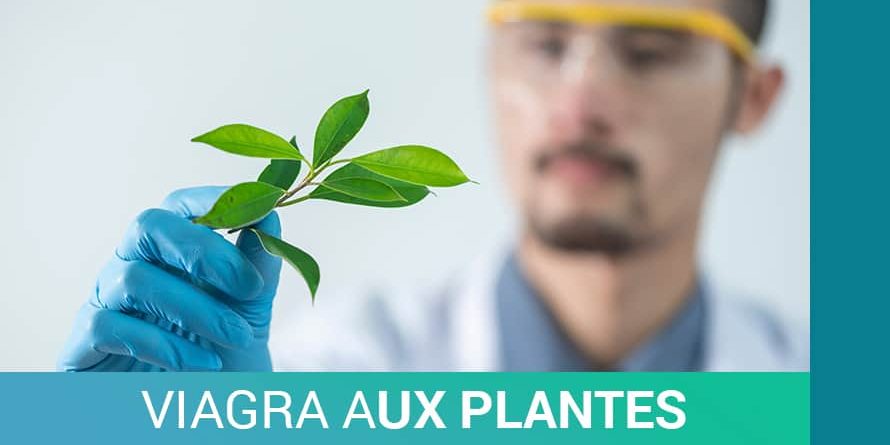 VIAGRA AUX PLANTES VIAGRA AUX PLANTES